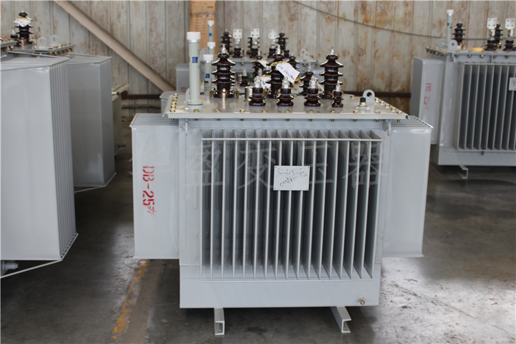 崇左S20-800kVA/10kV/0.4kV变压器